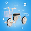 Children Tricycle Toddler Trike Kids Toy Bicycle